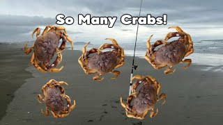 We Caught Lots Of Crab Crabbing Ocean Beach [upl. by Errot]