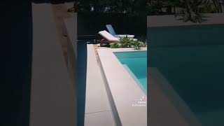 TopCast Concrete Finish amp New Raised Pool  poolconstruction concrete concretedeck [upl. by Timrek]