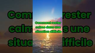 Comment Rester Calme en Situation de Crise GestionDuStress ResterCalme Mindfulness BienÊtre [upl. by Eimmat]