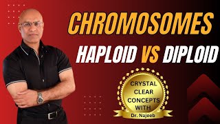 Basics of Chromatids  Haploid vs Diploid Chromosomes🦠 [upl. by Adnema]