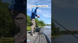 Bass Fishing on the Chickahominy River Cracking the Code [upl. by Assiled]