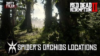 All Spider Orchid Locations Red Dead Redemption 2 RDR2 [upl. by Perry]