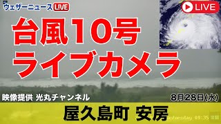 【台風10号 ライブカメラ 】鹿児島県熊毛郡屋久島町安房／大雨・暴風警戒 ウェザーニュース 2024年8月28日（水） [upl. by Bobinette203]