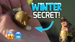 The SECRET winter hookbait  Jamie Hughes Feeder Tip [upl. by Gael753]