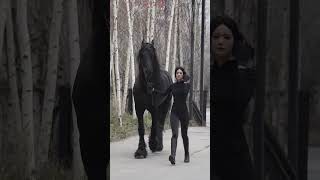 The Black Friesian Horse [upl. by Elagibba744]