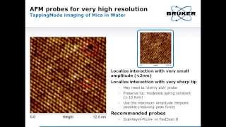 AFM  Probe Fundamentals Selection and Applications  Bruker [upl. by Buskus]