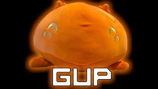 Gup [upl. by Kevon]