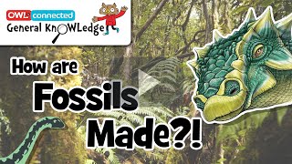 How do DINOSAURS become FOSSILS  General KnOWLedge [upl. by Coppins707]