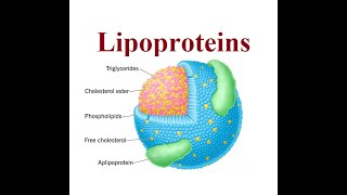 Lipoproteins structure and functions  2024 [upl. by Melborn356]