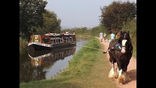 The Horse Drawn Barge Tiverton Devon [upl. by Otxis]