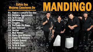 Grupo Mandingo ❤️ Mix Romanticas 2023 ❤️ Exitos Sus Mejores Canciones De Grupo Mandingo ❤️ [upl. by Abbate]