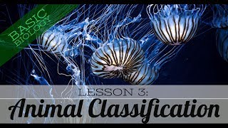 Basic Biology Lesson 3  Animal Classification GCSE Science [upl. by Peggir261]