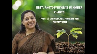 NEET Photosynthesis In Higher Plants Part2 Chloroplast Photosystem Pigements [upl. by Arvonio]