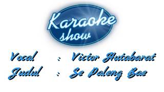 Se Paleng Bae  Victor Hutabarat KARAOKE VERSION [upl. by Lukin]