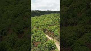 Trekking da Castra a Limite SullArno 15 Km tra Vigneti e Natura in Toscana volo dal drone [upl. by Moseley18]