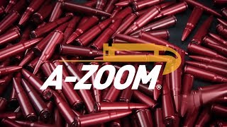 AZOOM Uses and Training Tips [upl. by Quartas578]