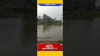 gilamancing di sini ada ikan raksasa [upl. by Anhaj]