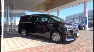 2018 New TOYOTA ALPHARD HYBRID 4WD  Exterior amp Interior [upl. by Hecht]