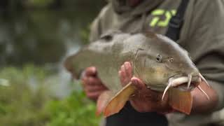 Bob Roberts Maggot Feeder Rig For Barbel [upl. by Josee270]