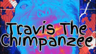 Chimp Crazy  The Story Of Travis The Chimpanzee [upl. by Sehcaep]