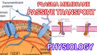 Plasma membrane🫠 passive transport process [upl. by Ocker]