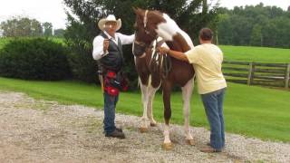 Solving Problem Horses The Crothers Way [upl. by Arlette]