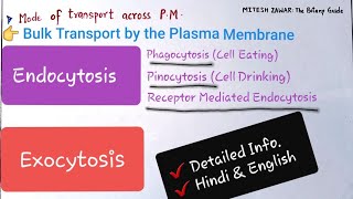 ENDOCYTOSIS AND EXOCYTOSIS  Bulk Transport by Cell Membrane  Phagocytosis and Pinocytosis [upl. by Ferrel333]