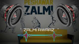 Zalmi Awaaz by Rahim Shah  Peshawar Zalmis Official Regional Anthem  HBLPSL9 nadaaneditz [upl. by Onirefes]