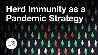 Herd Immunity as a Coronavirus Pandemic Strategy [upl. by Rudy]