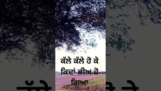 Kalle Kalle  Firoz Khan  New Punjabi Song  shorts [upl. by Htrahddis27]