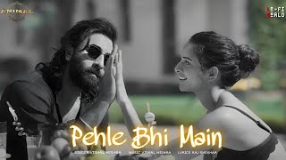 Pehle Bhi MainLoFiVibesDj Uday  Relaxing Music for Cozy Evenings [upl. by Ainslee]