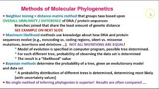 Chapter 8 Part 2 Molecular Phylogenetics [upl. by Ohcirej]