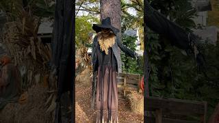 Drop down scarecrow animatronic [upl. by Ecnadnak]