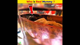 Who is Pharaoh Real Mummy  Arslan Speaks shortsfeed amazingfacts pharoah real mummy [upl. by Hgielra]