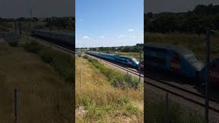 Ouigo en freinage LGV BPL train sncf trainspotting chemindefer tgv france railway hightspeed [upl. by Burrus]