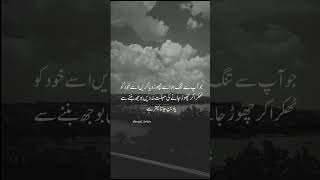 Yad Ban Jana Behter  Sad Status  Urdu Poetry  Urdu Lines  Whatsapp Status  Heart Broken Shayari [upl. by Cohlette]