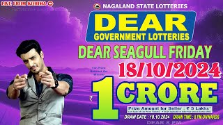 DEAR SEAGULL FRIDAY WEEKLY DEAR 8 PM ONWARDS DRAW DATE 18102024 NAGALAND STATE LOTTERIES [upl. by Pelpel]