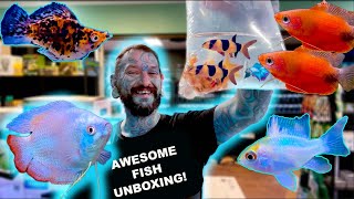 CUTE CORYDORAS GOLOURFUL GOURAMIS CRAZY CLOWN LOACHES UNBOXING LIVE FISH [upl. by Lledor]