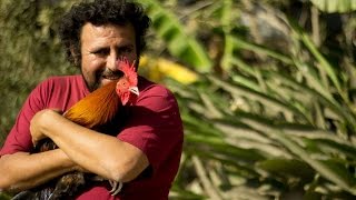 EL GALLO  Cortometraje de ficción [upl. by Zhang]