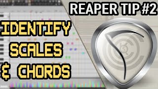 Identify Scales amp Chords  Reaper Tips 2 [upl. by Lyrad]