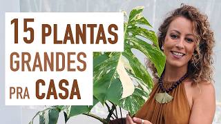 15 PLANTAS GRANDES pra ter em CASA sugestões para DECORAR a SALA [upl. by Ahsinot]