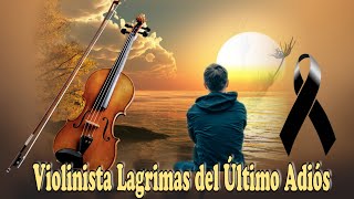 Violinista Lágrimas del Último Adiós  Tiwal chin eltoq yul jun kultaqti [upl. by Dow]