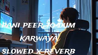 Pani Peer Too Dum Karwaya slowed x reverb Saraiki Song [upl. by Rodney]