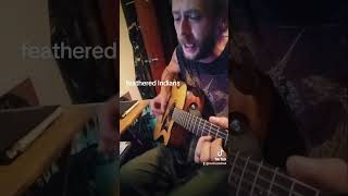 Tyler Childers cover Feathered Indians [upl. by Diet]