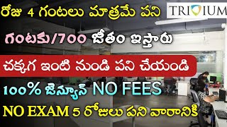 రోజు 4 గంటలు ఇంటి నుండి పని  Work From Home Jobs in Telugu  Fresher Jobs  Tech Guruvu [upl. by Hanala]