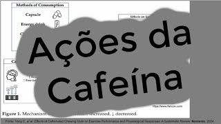 Mecanismos de Ação da Cafeína [upl. by Balduin540]