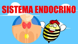 🟥SISTEMA ENDOCRINO 💚EXPLICADO FÁCIL🧠GLÁNDULAS Y HORMONAS🟥 [upl. by Nadabus]