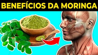 10 BENEFÍCIOS da MORINGA que você NUNCA ouviu falar [upl. by Lianna]