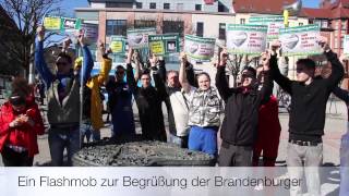 Eröffnung hagebaumarkt Mölders Brandenburg [upl. by Ruddy928]