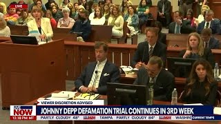 Johnny Depp trial Amber Heards lawyers slam witness over muffins  LiveNOW from FOX [upl. by Gussman]